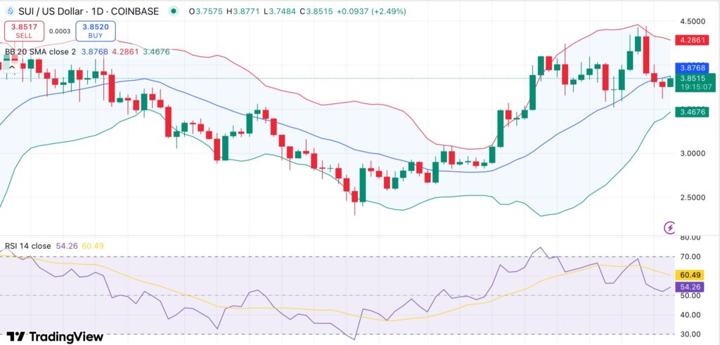 Будет ли Sui Bulls потерять 128 миллионов долларов впереди токена? - 1