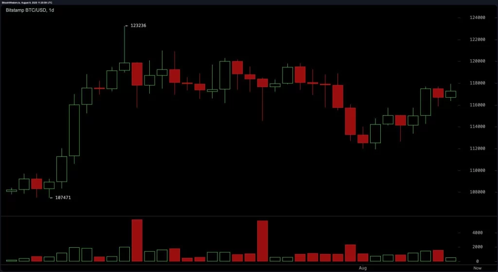 дневной график Bitcoin (BTC)